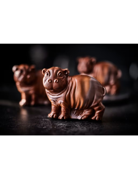 Hiccup the Hippo